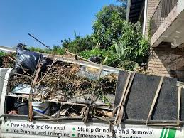 Best Recycling Services for Junk  in Lorena, TX